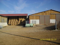 DSCI0308-WEB.jpg